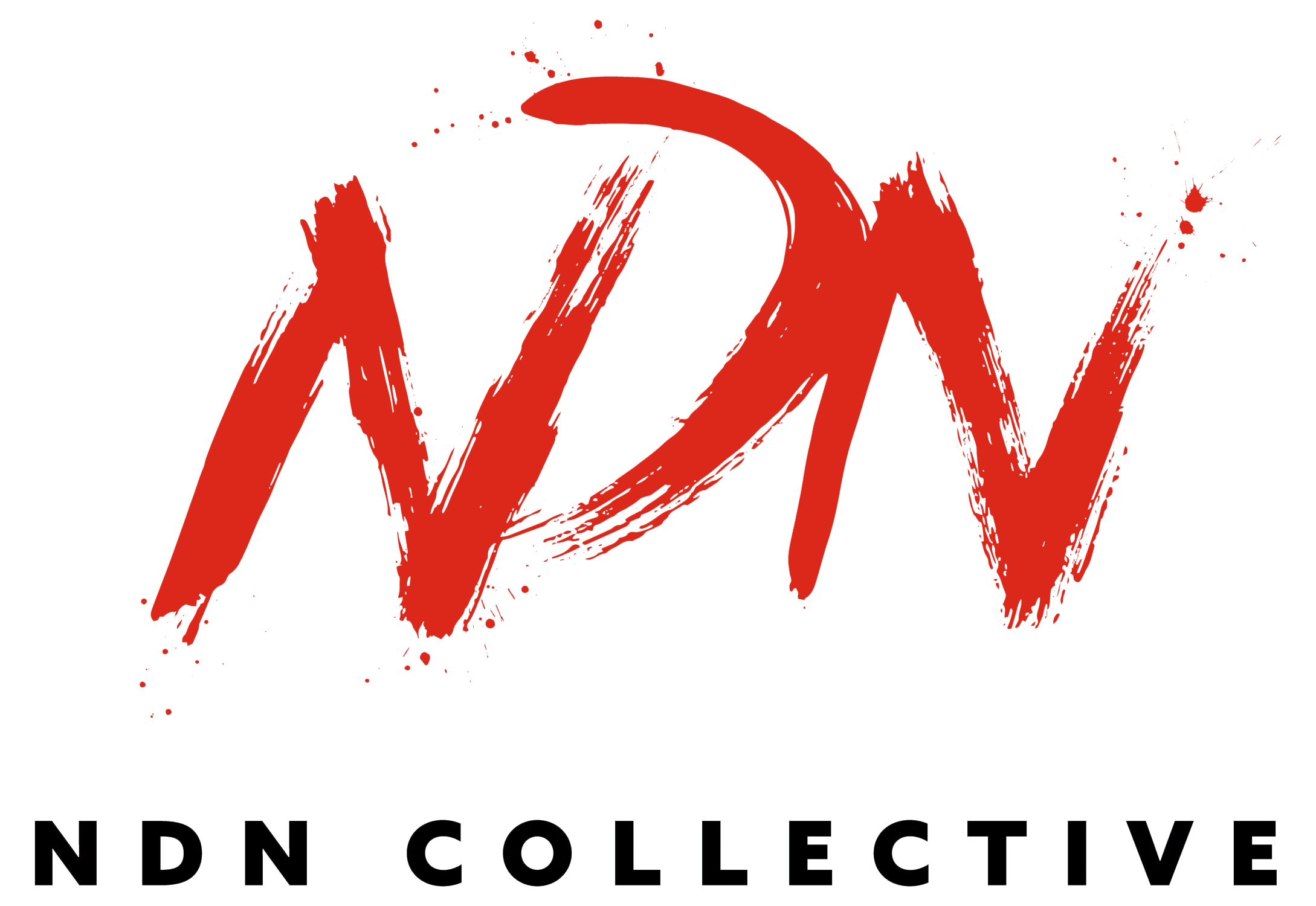 NDN Collective logo
