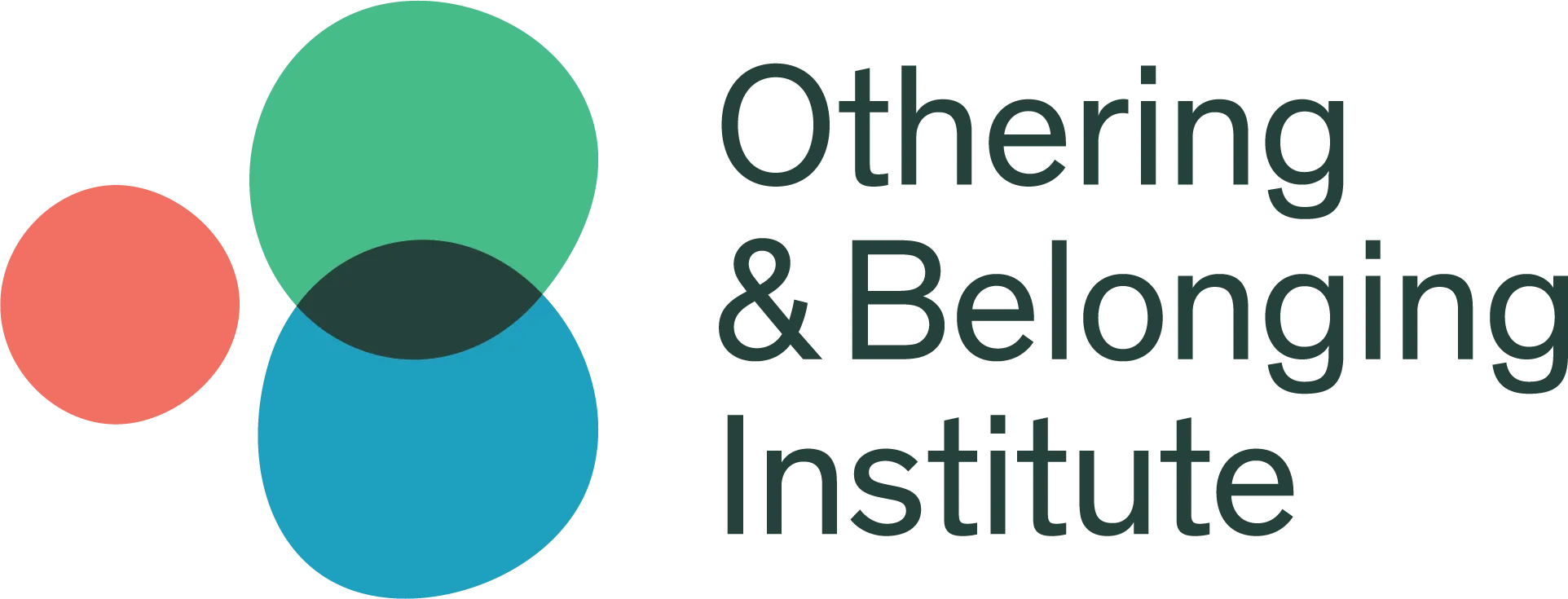 Othering & Belonging Institute logo