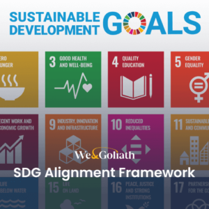 sdg-alignment-framework